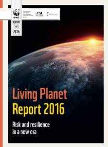 WWF เผยรายงานสัตว์ป่าจะหายไปถึง 2 ใน 3 ภายในปี 2563