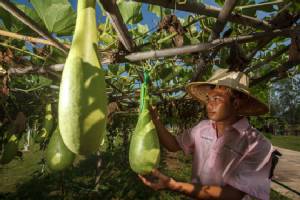 โสตศึกษาบ่มเพาะเมล็ดพันธุ์ ส่งเสริมเกษตรทฤษฎีใหม่