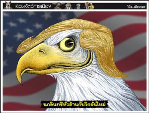 นกอินทรีหัวล้านกับวิกอันใหม่