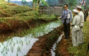 เกษตรทฤษฎีใหม่-เศรษฐกิจพอเพียงของในหลวง ร.9 และตัวแบบการจัดสรรทรัพยากรให้เกิดประโยชน์สูงสุด