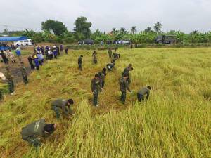 คสช.ยันช่วยเกี่ยวข้าวไม่มีรีดไถ ทบ.รับคลิปครูฝึกโหดส่อฝ่าฝืนกฎ ถ้าผิดจริงเจอโทษหนัก