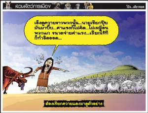 ต้องเรียกควายแดงมาดูตัวอย่าง