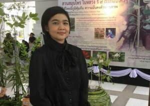 อภัยภูเบศรผลิต “ยาอมลดอยากอาหาร” จาก “หญ้าดอกขาว” ทางเลือกคนอยากลดอ้วน