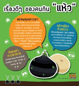 เรื่องดีๆ ของคนกิน "แห้ว"