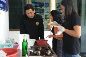 ประมงกระบี่เก็บตัวอย่างซากปลาส่งตรวจหาสาเหตุหลังทยอยตายนับหมื่น