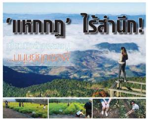 แหกกฎ ไร้สำนึก! เที่ยวเชิงล้างผลาญ มนุษย์ยุคเซลฟี่
