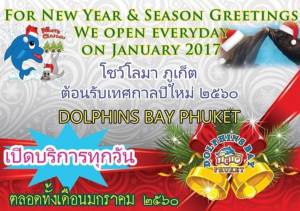 โชว์โลมาภูเก็ตฉลองเทศกาลปีใหม่สุดพิเศษ เปิดบริการทุกวันเดือนมกราคม