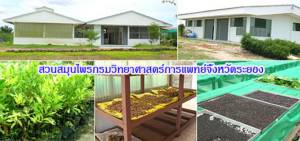 สธ.ชวนเที่ยว “สวนสมุนไพร” 3 จังหวัด ช่วงปีใหม่ รับผลิตภัณฑ์สมุนไพรฟรี!!