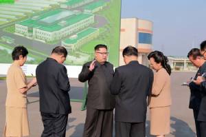 N. Korea has plutonium for 10 nuclear bombs: S. Kore