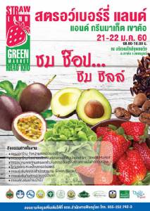 คนรักสตรอว์เบอร์รี่ต้องห้ามพลาด "สตรอว์เบอร์รี่แลนด์ แอนด์ กรีนมาเก็ต เขาค้อ"