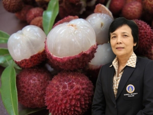 กิน “ลิ้นจี่” ตอนท้องว่างถึงกับตายจริงหรือ?