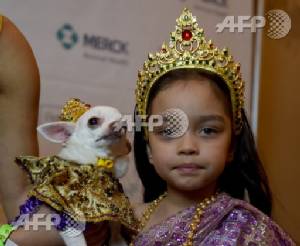New York Pet Fashion Show