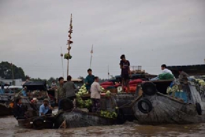 เกิ่นเทอ - แม่โขงเดลต้า เผชิญหน้าน้ำเค็มรุก เปลี่ยนนาข้าวสู่นากุ้ง