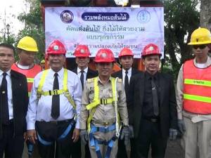 กฟภ.ตรังร่วมหลายภาคส่วนจัดระเบียบสายสื่อสารและแต่งกิ่งไม้ตามสถานที่ต่างๆ