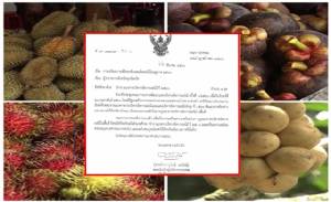 ปค.สั่งผู้ว่าฯ บูรณาการร่วมแผนบริหารจัดการผลไม้ ปี 60
