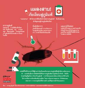 แมลงสาบ! ภัยเงียบสู่ภูมิแพ้