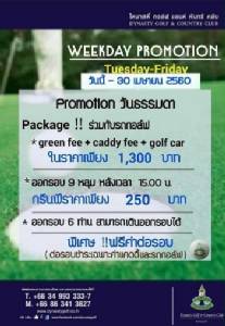 ไดนาสตี้จัดแพคเกจออกรอบวันธรรมดา