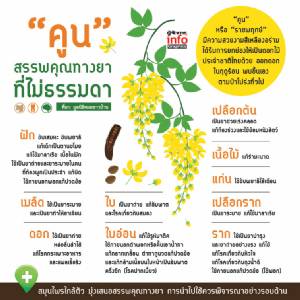 "คูน" สรรพคุณทางยาที่ไม่ธรรมดา