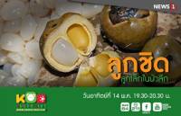 "กบนอกกะลา" ตอน ลูกชิดลูกเล็กในป่าลึก ทุ่มครึ่งคืนนี้ทาง NEWS1