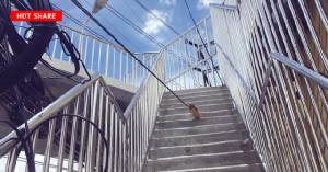 ชาวบ้านงง! สายไฟวิ่งฝ่ากลางบันได สะพานลอยสร้างใหม่เส้นกาญจนาภิเษก - บางบัวทอง