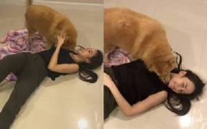 เอ็นดู! “อั้ม พัชราภา” ลงไปนอนเกลือกกลิ้งกับพื้นเล่นกับน้องหมา (คลิป)