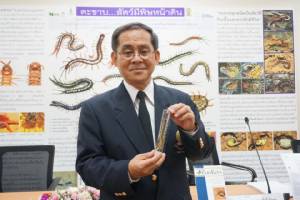 นักวิจัยไทยค้นพบ “ตะขาบน้ำตก” ติดอันดับ 10 สุดยอดสปีชีส์ใหม่โลก