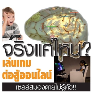 จริงแค่ไหน? เล่นเกมต่อสู้ออนไลน์ เซลล์สมองตายไม่รู้ตัว!!