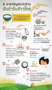 6 ยาสามัญประจำบ้าน ต้นตำรับข้าวไทย