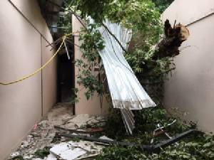 โครมสนั่น..ฝนหนัก-ต้นก่อยักษ์ล้มฟาดบ้านบนดอยสุเทพ พัง 3 หลัง ชาวบ้านรอดหวุดหวิด