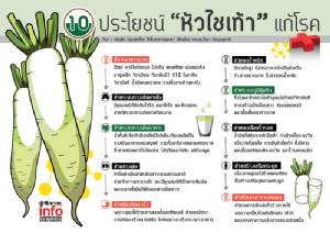 10 ประโยชน์ "หัวไชเท้า" แก้โรค