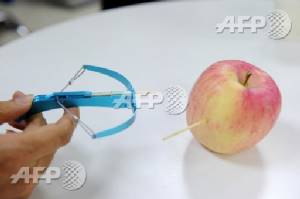 China bans 'time-bomb' toothpick crossbows