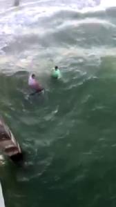 อย่าล้อเล่นกับนักล่า! ชาวประมงสหรัฐฯ พยายามจับฉลาม แต่เจอกัดเลือดสาดหนีแทบไม่ทัน (ชมคลิป)