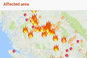 กูเกิลเปิดตัว “SOS Alerts” รับแจ้งเตือนภัยพิบัติ