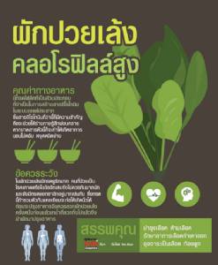 ผักปวยเล้ง คลอโรฟิลล์สูง
