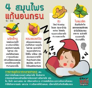 4 สมุนไพร แก้อาการกรน