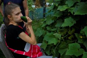World's blind population to soar: study