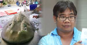 ดร.ธรณ์ เสียดาย! “ปลาโรนิน” สัตว์ทะเลหายากขายในตลาดปลาภูเก็ต จี้ช่วยผลักดัน กม.คุ้มครอง
