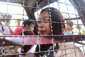 “น้ำมนต์” สาวแสบวังสะพุงวอนพ่อแม่มอบตัว ยันบริสุทธิ์ใจหนุ่มโดนตุ๋นไม่ถึง 40 ราย