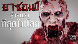 ป.ป.ส.ปัดข่าว “ยาซอมบี้” ออกฤทธิ์รุนแรงมากกว่าโคเคนและยาบ้า แพร่ระบาดในไทย