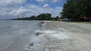 ซากหอยจ๊อกตายเกลื่อนเต็มหาดก้นอ่าว ระยอง ประจานนักท่องเที่ยว เชื่อมลพิษ