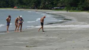 ซากหอยจ๊อกตายเกลื่อนเต็มหาดก้นอ่าว ระยอง ประจานนักท่องเที่ยว เชื่อมลพิษ