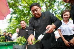 “อัศวิน” นำดอกไม้ตกแต่งสองข้างทาง รับแขกต่างประเทศ ขออย่านำรถมาพระราชพิธี
