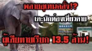 (ชมวิดีโอ) เรียกเยอะไปไหม!? พลายอุเทนหงุดหงิดเหยียบไกด์นักท่องเที่ยวชาวจีนดับคาสวนผลไม้ ญาติเรียก 13.5 ล้าน!