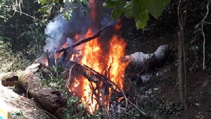 ไว้อาลัยช้างป่าพลายงางามกุยบุรี เผาแล้ววันนี้ หลังถูกสังหารด้วยไรเฟิล-ลูกซอง