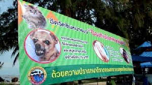 สสจ.ชลบุรีเตือนประชาชนอย่าตื่นตระหนก “โรคพิษสุนัขบ้า”