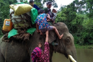 ชาวพม่าเร่งหลบหนีการสู้รบในรัฐกะฉิ่น เด็กเล็ก-คนชรานั่งช้างลัดเลาะป่าหาที่หลบภัย