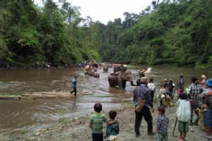 ชาวพม่าเร่งหลบหนีการสู้รบในรัฐกะฉิ่น เด็กเล็ก-คนชรานั่งช้างลัดเลาะป่าหาที่หลบภัย