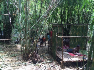 โลกเปลี่ยน! ชาวมานิในสตูลคว้ารถ จยย.ขี่ออกจากป่า แถมเริ่มสร้างบ้านไม้ไผ่ยกพื้นแทนทับ