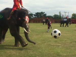 ถึงมือพี่ช้าง สถานศึกษาร่วมมือพี่ช้างรณรงค์ไม่เล่นการพนันบอลโลก