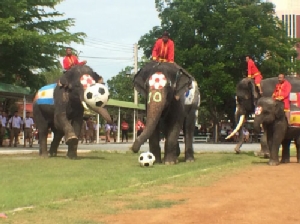 ถึงมือพี่ช้าง สถานศึกษาร่วมมือพี่ช้างรณรงค์ไม่เล่นการพนันบอลโลก